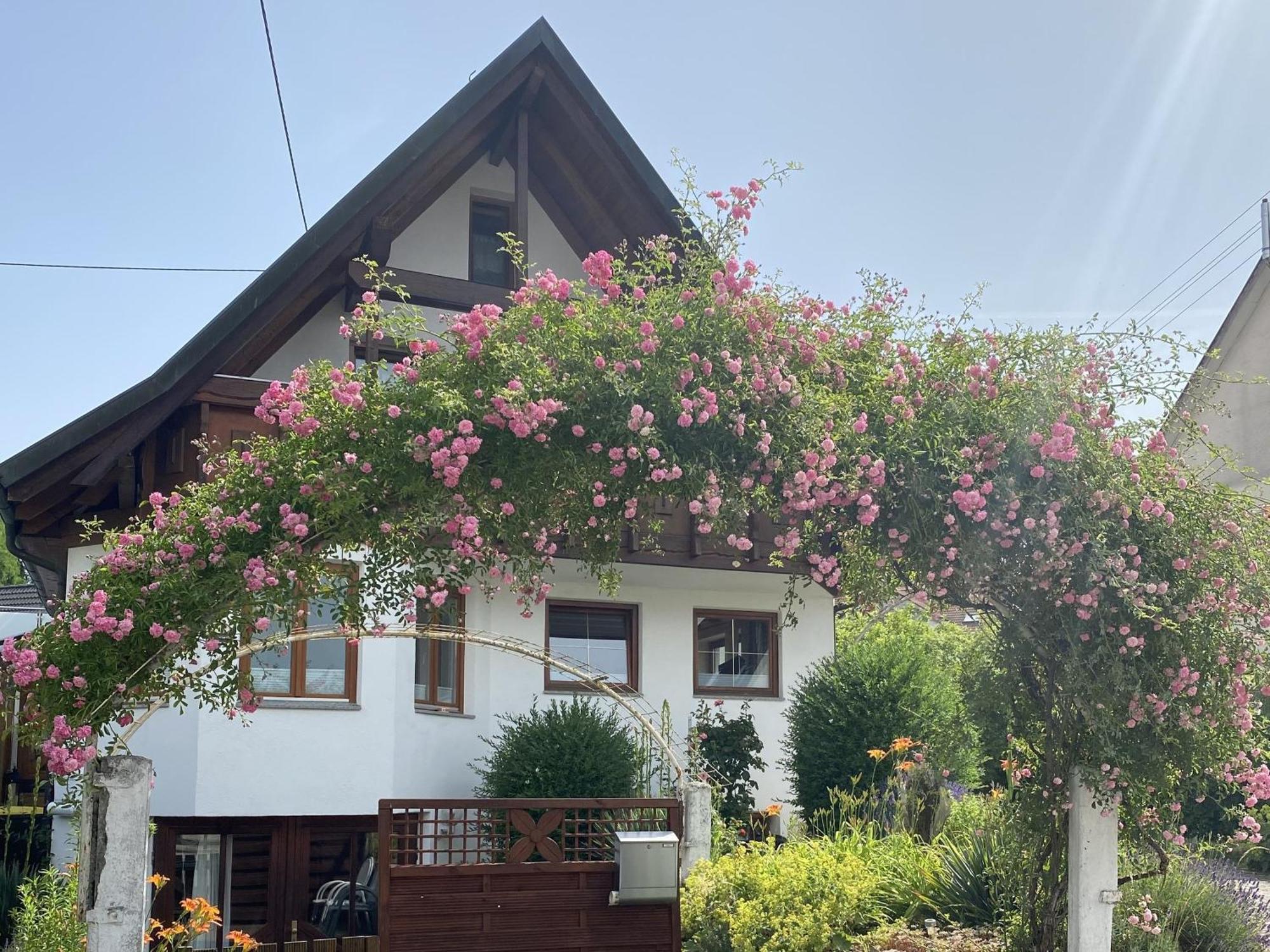 Dalea Bad Waldsee Exterior foto